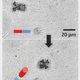 Steering the little dudes (Image: Xu et al)